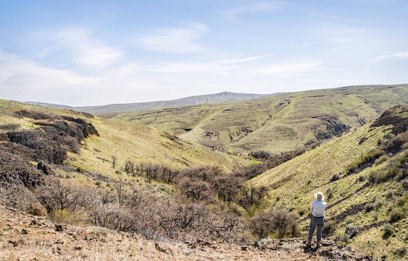 Box Spring Canyon — Washington Trails Association